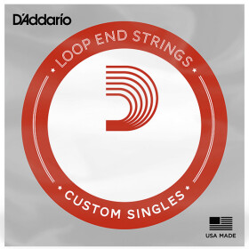 D'Addario LE010