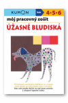 Môj pracovný zošit Úžasné bludiská - Toshihiki Karakido