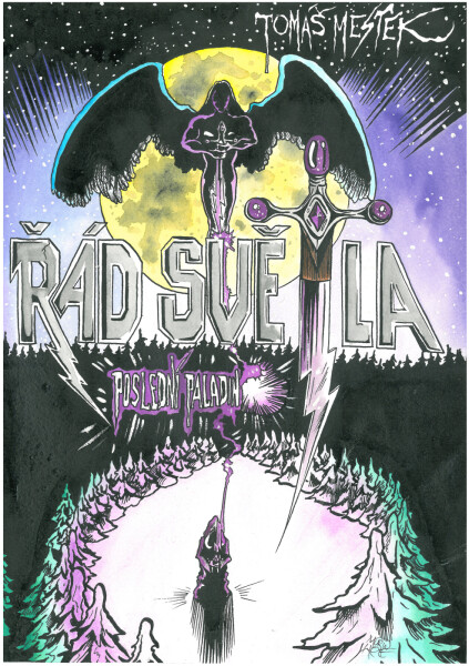 Řád světla - Poslední paladin 2 - Tomáš Mestek