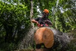 Aku řetězová pila Milwaukee M18 F2CHS50-802 4933480121