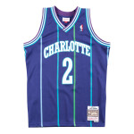 Mitchell & Ness Pánský dres Charlotte Hornets NBA Larry Johnson #2 Alternate Swingman - Fialová Velikost: M