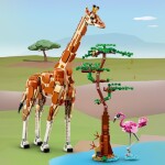 LEGO® Creator 31150 Divoká zvířata ze safari