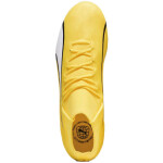 Fotbalové boty Puma Ultra Pro FG/AG M 107422 04 41