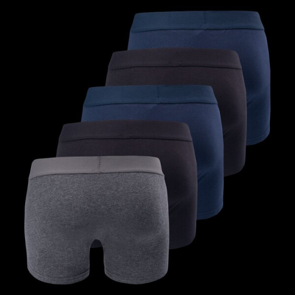 Pánské boxerky RAVOR 5PACK m