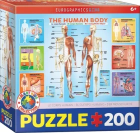 EUROGRAPHICS Puzzle Lidské tělo