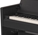 Gewa CP510 black