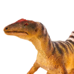 Safari Ltd. Safari Ltd. Figurka - Concavenator