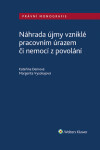 Náhrada újmy vzniklé pracovním úrazem či nemocí z povolání - autorů - e-kniha