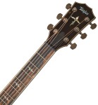 Taylor 814ce Special Edition Sitka Sapphire Top