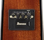 Ibanez PF34MHE NT