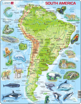Puzzle South America Topographic Map
