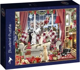 BLUEBIRD Puzzle Čekání na Santu