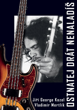 Ostnatej drát nenaladíš - Vladimír Mertlík