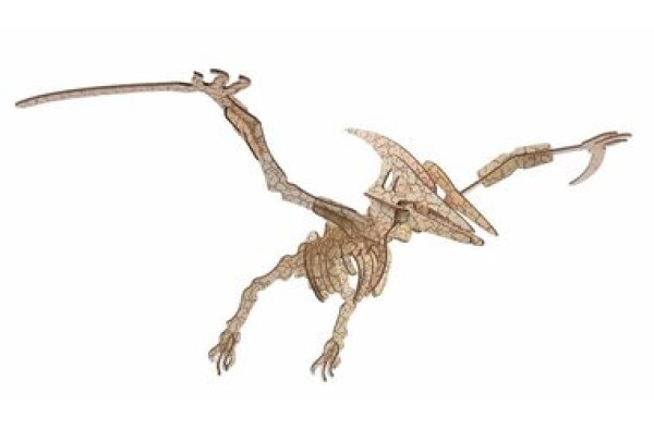 Woodcraft Dřevěné 3D puzzle Pterosaur