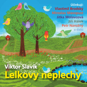 Lelkovy neplechy - Viktor Slavík - audiokniha