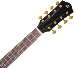 Flight MAIA BARITONE 8 EQ-A