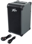 Peavey Max 208