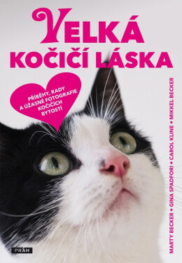Velká kočičí láska - kolektiv autorů