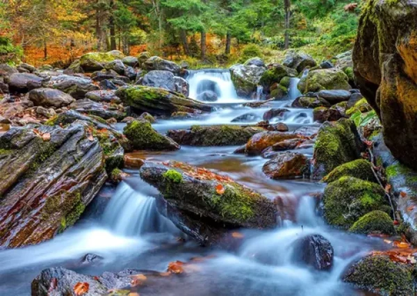 ENJOY Puzzle Lesní říčka na podzim