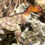 Safari Ltd. Safari Ltd. Figurka - Carnotaurus