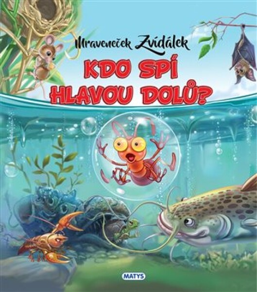 Mraveneček Zvídálek: Kdo spí hlavou dolů?