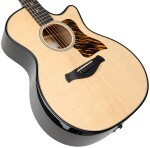 Taylor Builder's Edition 514ce Natural Next Generation