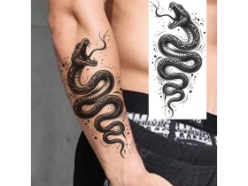Dovoz Tetování had Barva: 3