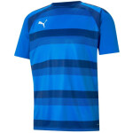 Pánské tréninkové tričko teamVision Jersey 704921 02 Puma