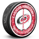 Mustang Puk Carolina Hurricanes NHL Center Ice