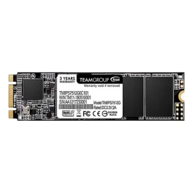 Team Group MS30 / SSD / 512 GB / M.2 2280 / SATA III (TM8PS7512G0C101)