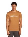 ICEBREAKER Mens 150 Tech Lite SS Tee Massif, Trail velikost: L