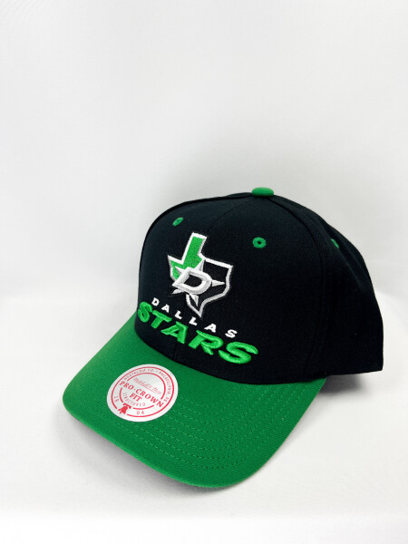 Mitchell & Ness Pánská Kšiltovka Dallas Stars Nhl All In 2.0 Pro Snapback Stars