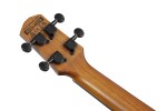 Ibanez AUC10E Natural