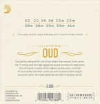 D'Addario EJ95