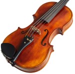 Violin Schönbach Golden/Brown