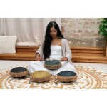 Meinl Sonic Energy 10" Octave Steel Tongue Drum F# Minor