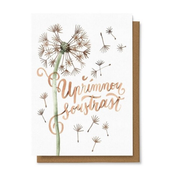 Přání Upřímnou soustrast - pampeliška