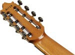 Ibanez GA3008CE NT