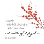 Korkový podtácek s citátem - Člověk může být obyčejný, jeho sny však neobyčejné - Sri Chinmoy