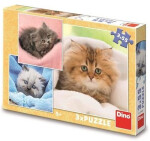 3x55 Roztomilá koťátka