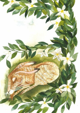 Šest zrádců zajíce Ignáce