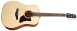 Ibanez AAD100E Natural