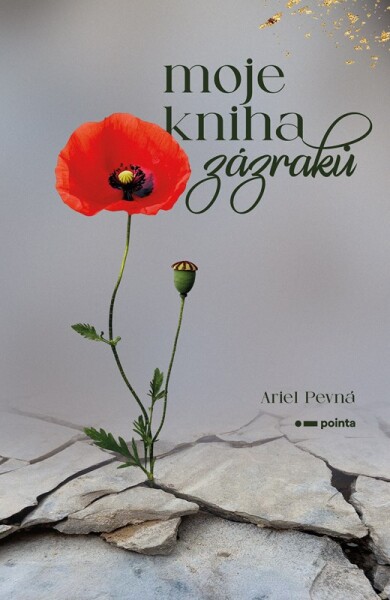 Moje kniha zázraků - Ariel Pevná