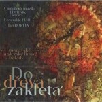 Do dřeva zakletá - 2 CD - Technik Ostrava CM