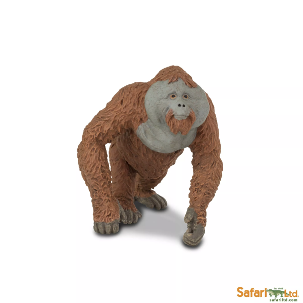 Safari Ltd. Safari Ltd. Orangutan - samec