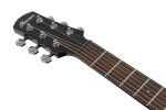 Ibanez AAM340CE Rustic Black