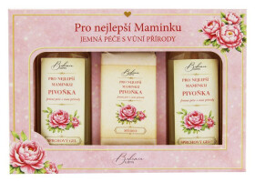 Kosmetická sada Pro nejlepší maminku (sprchový gel, mýdlo, sprchový gel 2v1)
