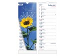Nástěnný kalendář 2027 vázankový MFP Měsíční