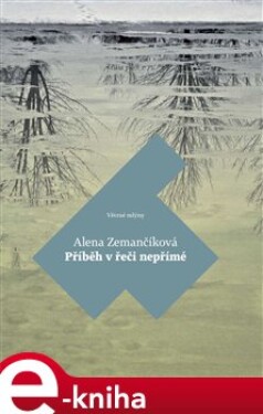 Příběh v řeči nepřímé - Alena Zemančíková e-kniha