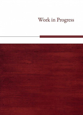 Work in Progress - Tomáš Valeš